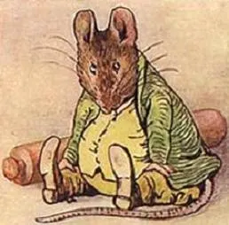 Samuel Whiskers 사용자 등록 사진