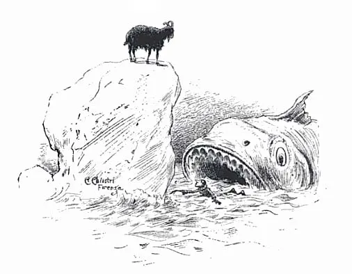 The Terrible Dogfish 사용자 등록 사진