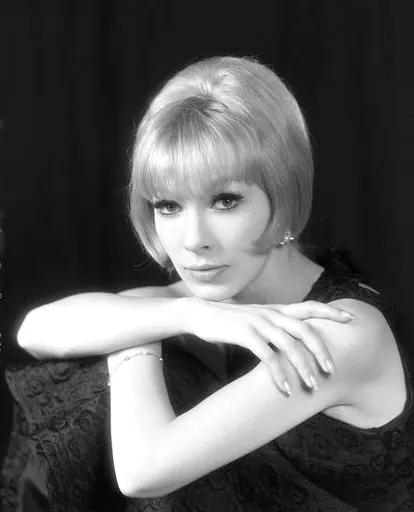 Dany Saval 사용자 등록 사진