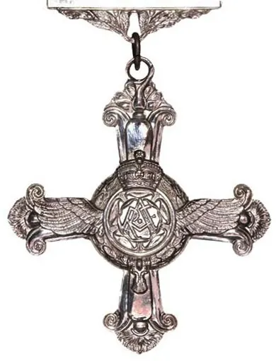 Distinguished Flying Cross 사용자 등록 사진