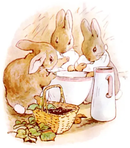Mopsy Rabbit 사용자 등록 사진