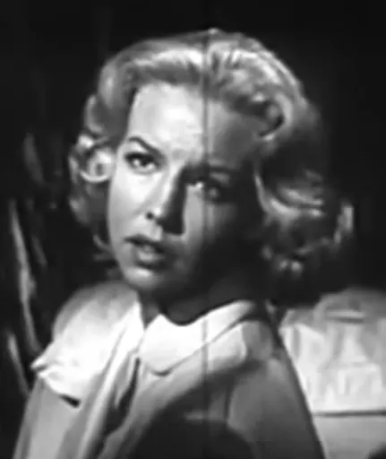 Sally Fraser 사용자 등록 사진