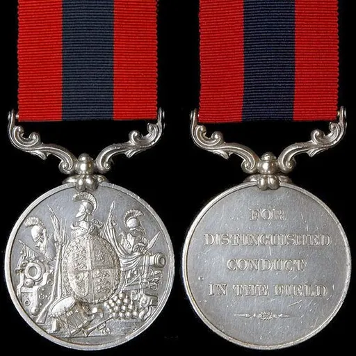 Distinguished Conduct Medal 사용자 등록 사진