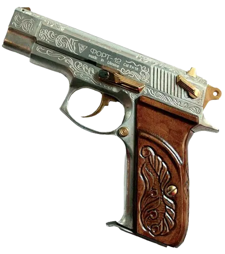 Registered firearms 사용자 등록 사진