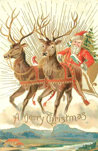 Santa Claus' reindeer 사용자 등록 사진