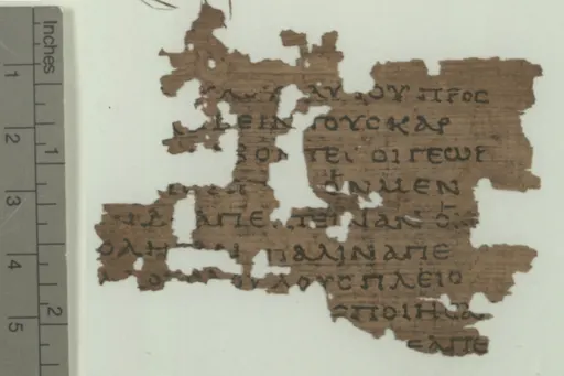 Gospel of Matthew 사용자 등록 사진