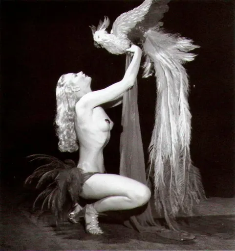 Lili St. Cyr 사용자 등록 사진