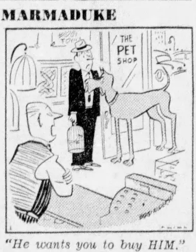 Marmaduke 사용자 등록 사진