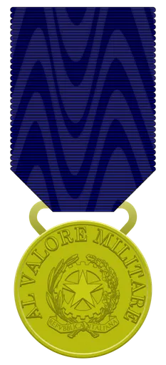 Medal of Military Valour 사용자 등록 사진