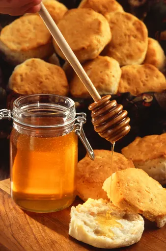 Honey 사용자 등록 사진