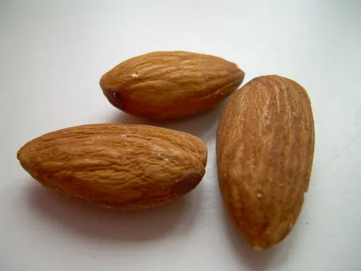 almond 사용자 등록 사진