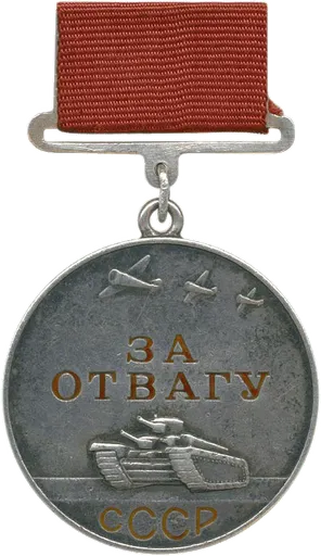 Medal "For Courage" 사용자 등록 사진