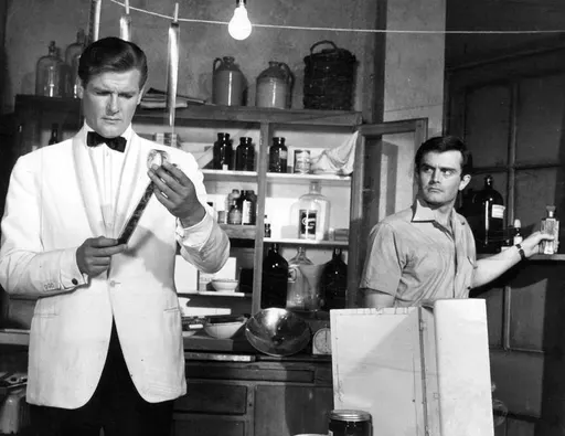 Simon Templar 사용자 등록 사진