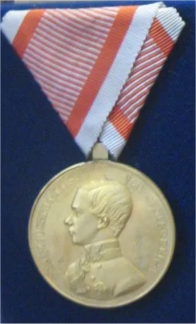 Medal for Bravery 사용자 등록 사진