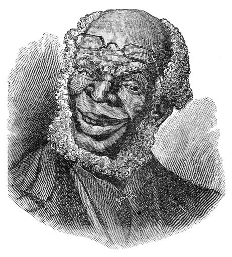 Uncle Remus 사용자 등록 사진