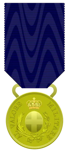 Gold Medal of Military Valour 사용자 등록 사진