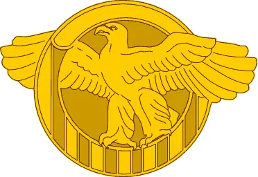 Honorable Service Lapel Button 사용자 등록 사진