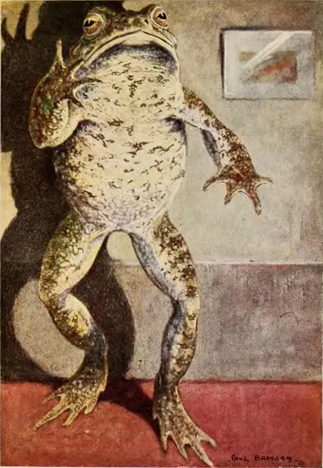 Mr. Toad 사용자 등록 사진