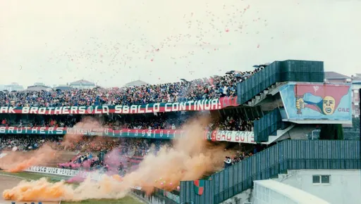 Stadio Libero Liberati 사용자 등록 사진