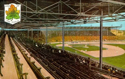 Maple Leaf Stadium 사용자 등록 사진
