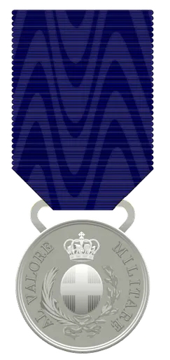 Silver Medal of Military Valour 사용자 등록 사진