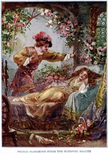 Sleeping Beauty 사용자 등록 사진