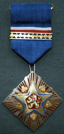 Order of the Republic 사용자 등록 사진