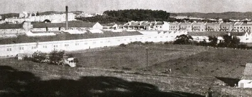 Campo de Benfica 사용자 등록 사진