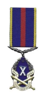 Medal "10 years to the Armed Forces of Ukraine" 사용자 등록 사진