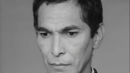 José Torres 사용자 등록 사진