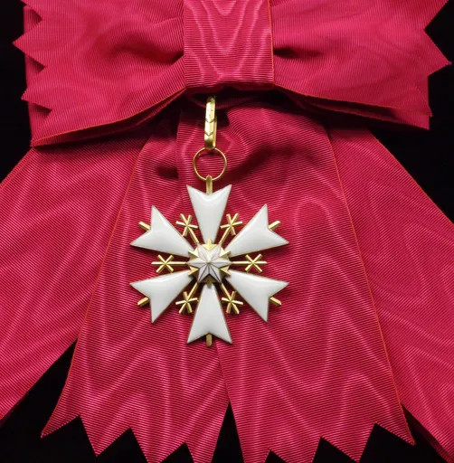 Order of the White Star, 1st Class 사용자 등록 사진