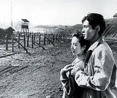 The Human Condition 사용자 등록 사진