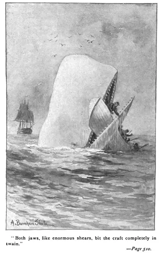 Moby Dick 사용자 등록 사진