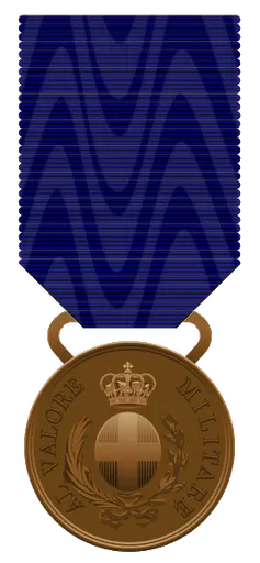 Bronze Medal of Military Valour 사용자 등록 사진