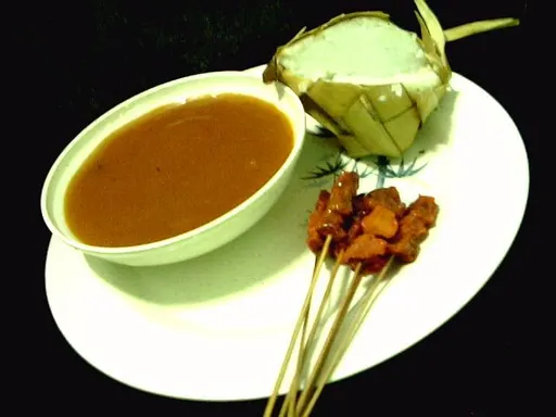 satti 사용자 등록 사진