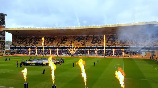 울버햄프턴 원더러스 FC 사용자 등록 사진