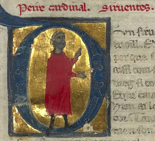 Peire Cardenal 사용자 등록 사진