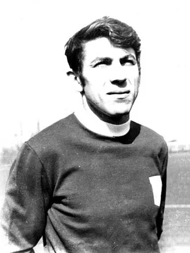 Nicolae Lupescu 사용자 등록 사진