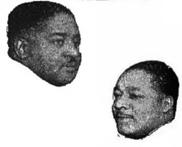 알버트 애먼스 사용자 등록 사진