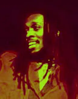 Ini Kamoze 사용자 등록 사진