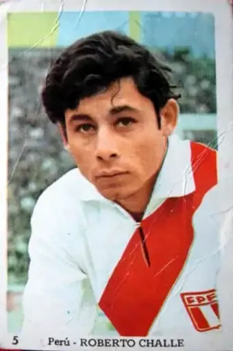 Roberto Chale 사용자 등록 사진